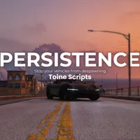 Persistence